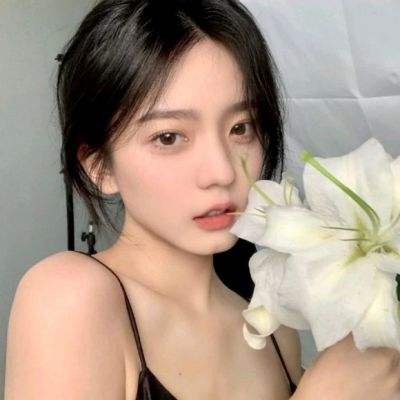 秦美人2内购破解版送vip下载